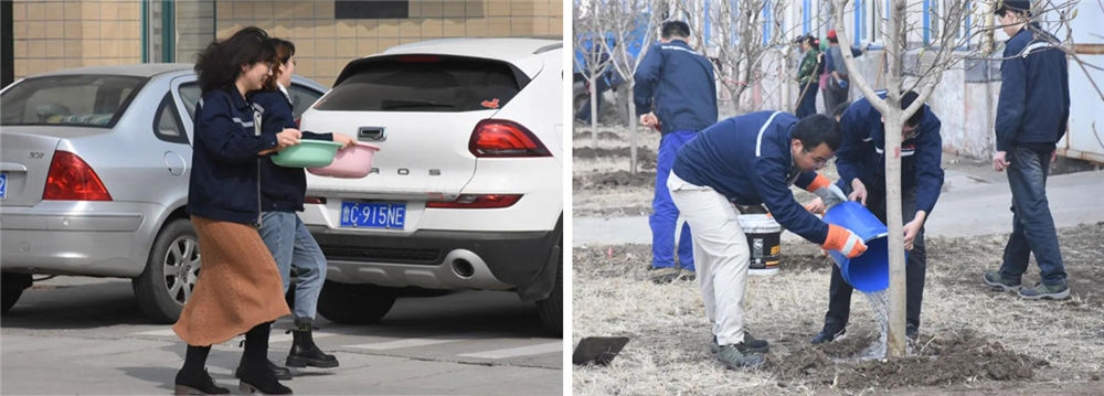 1617846141107532.jpg 1617846141107532.jpg