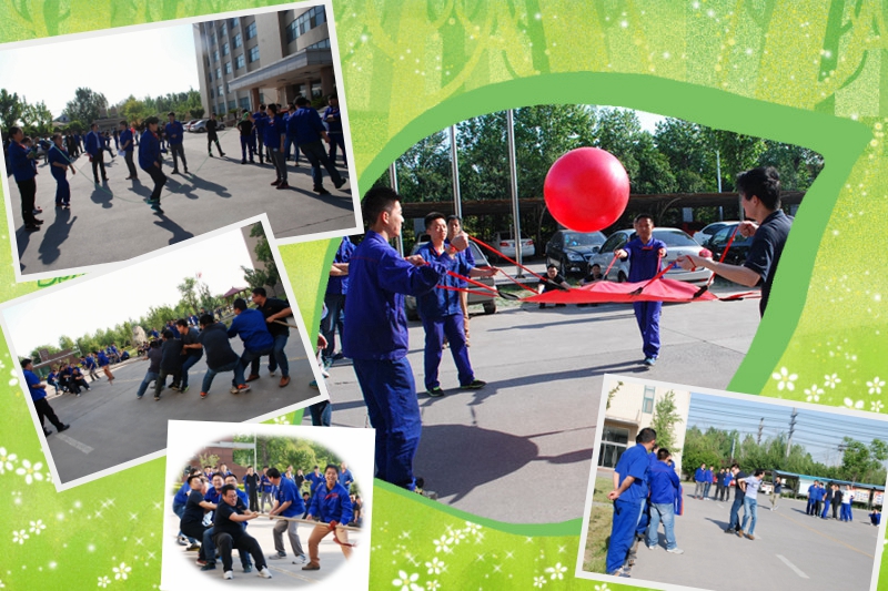 8 8 山東草莓视频网站：綻放活力 青春（chūn）飛揚 .jpg